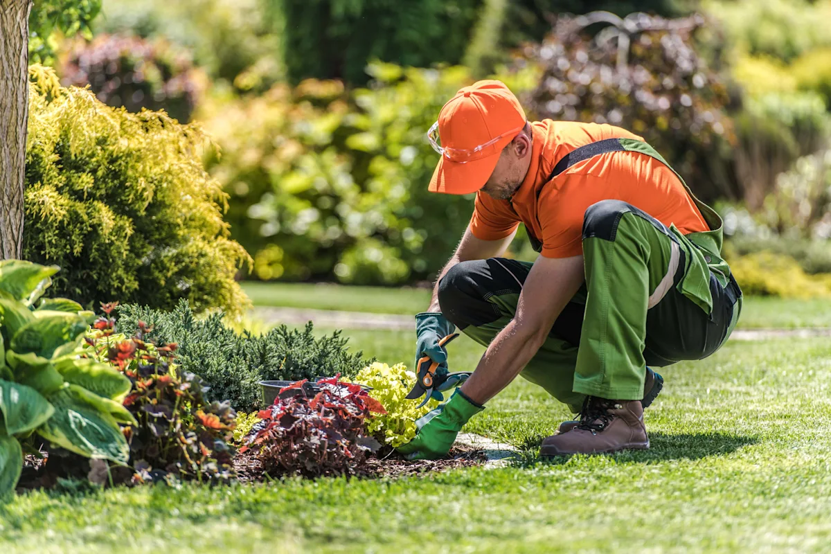 Mr. Hung landscaping project 2